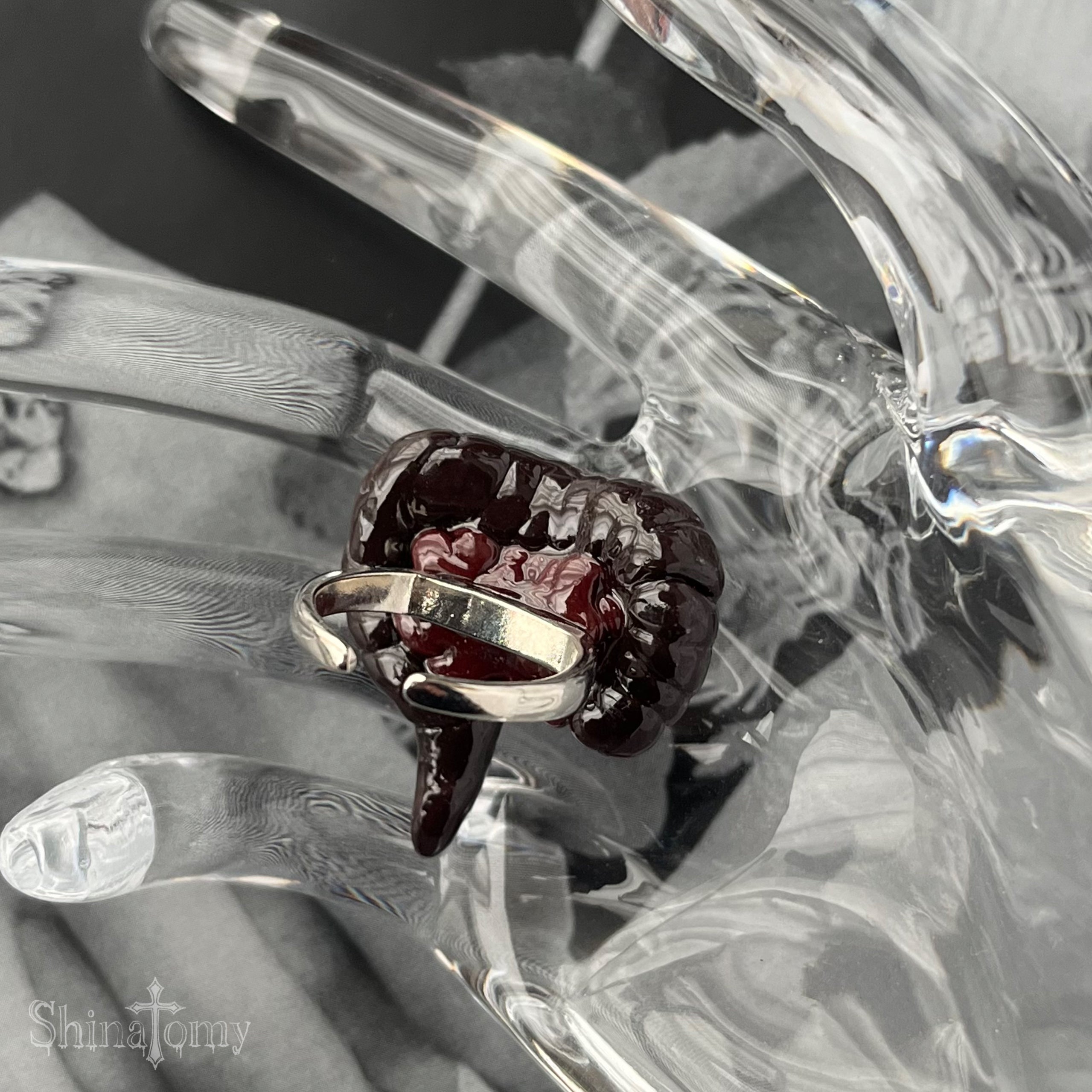 Digestive Organ Ring