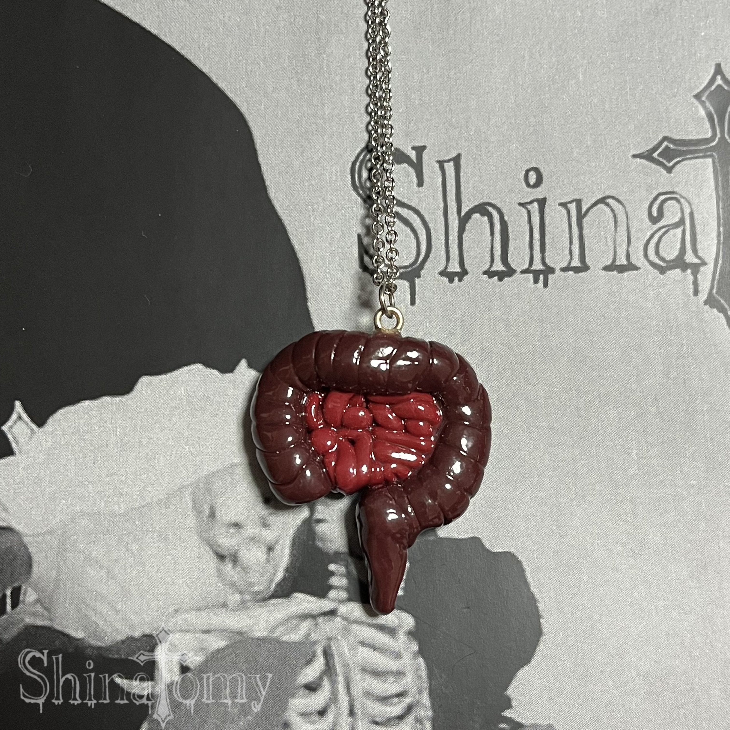 digestive system necklace