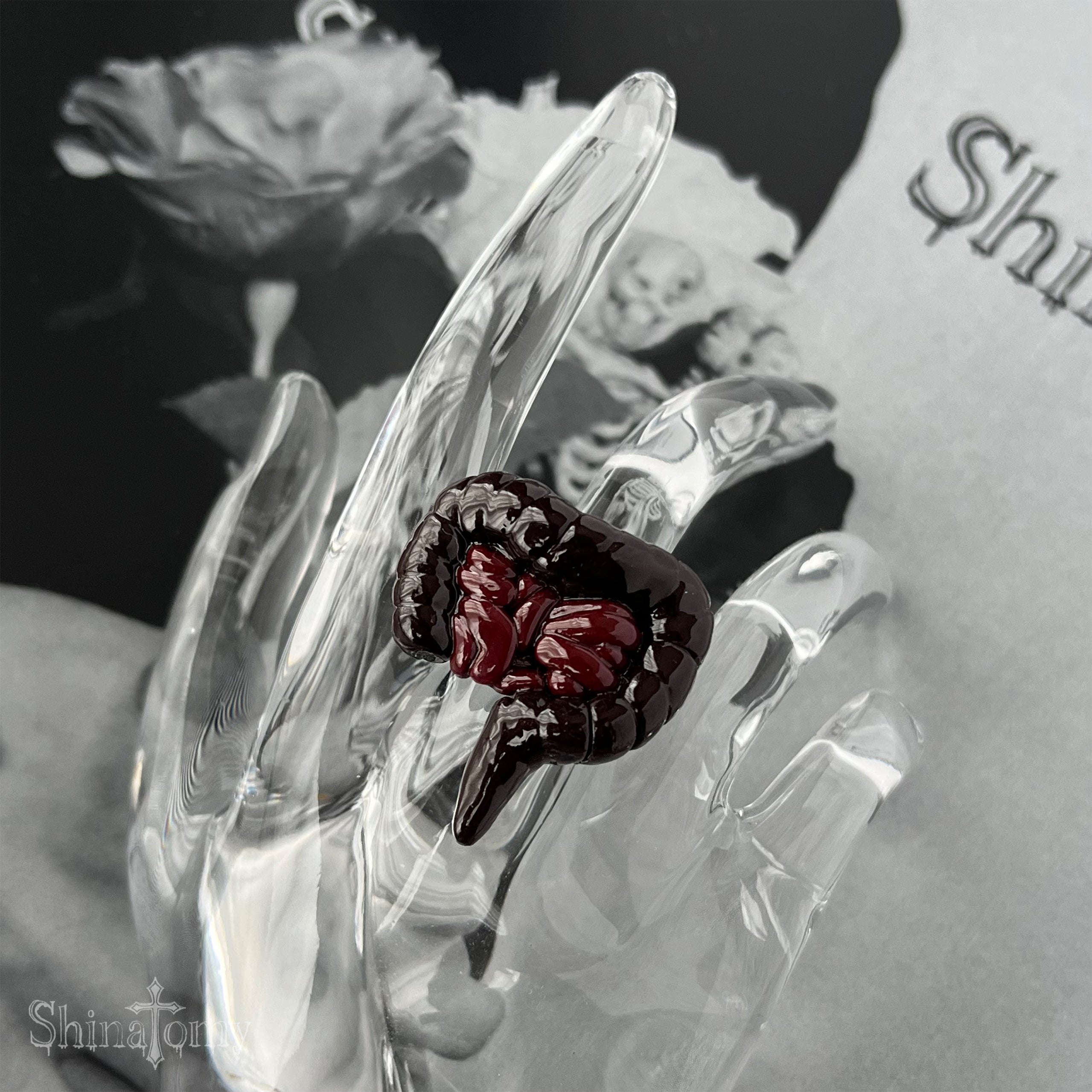 Digestive Organ Ring