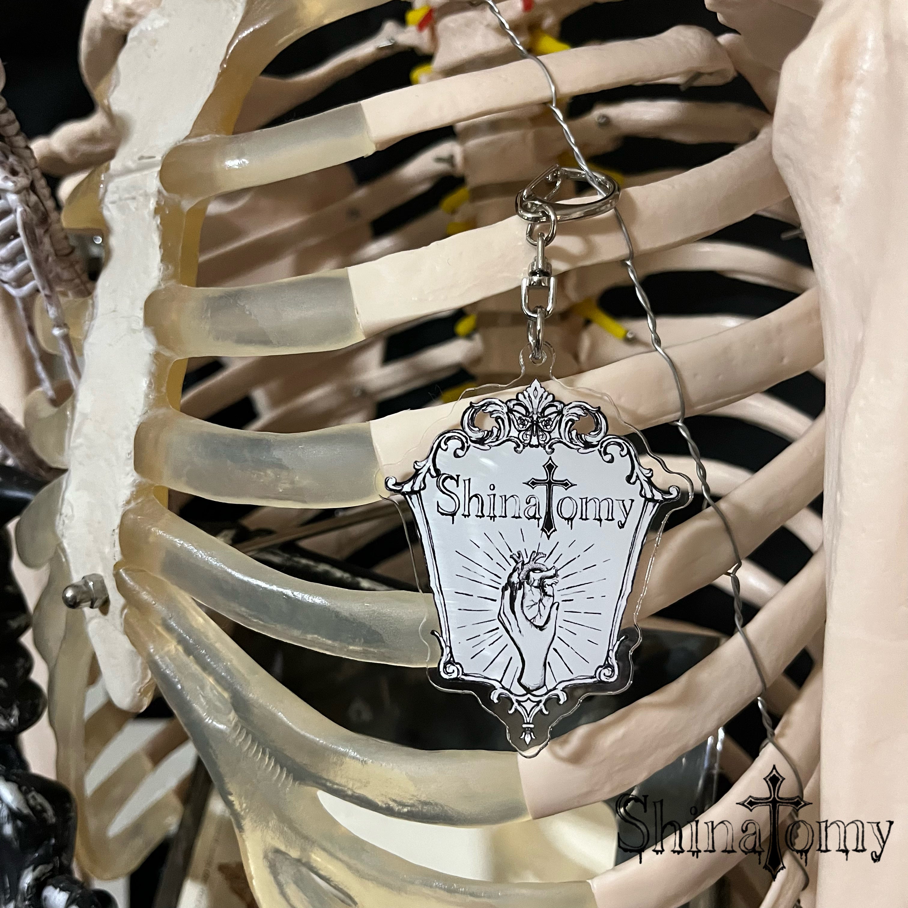 Shinatomy original acrylic key chain