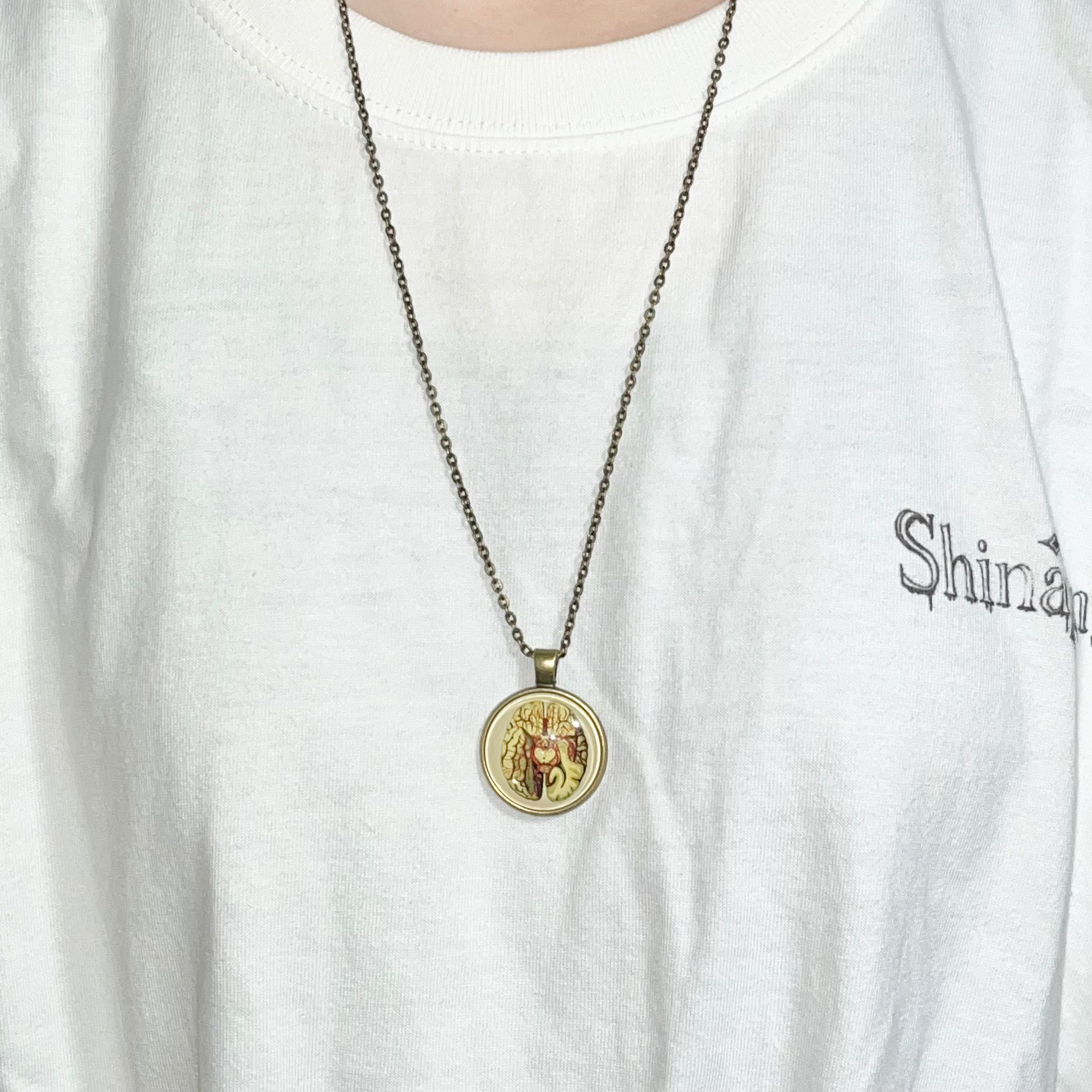 brain cross section necklace