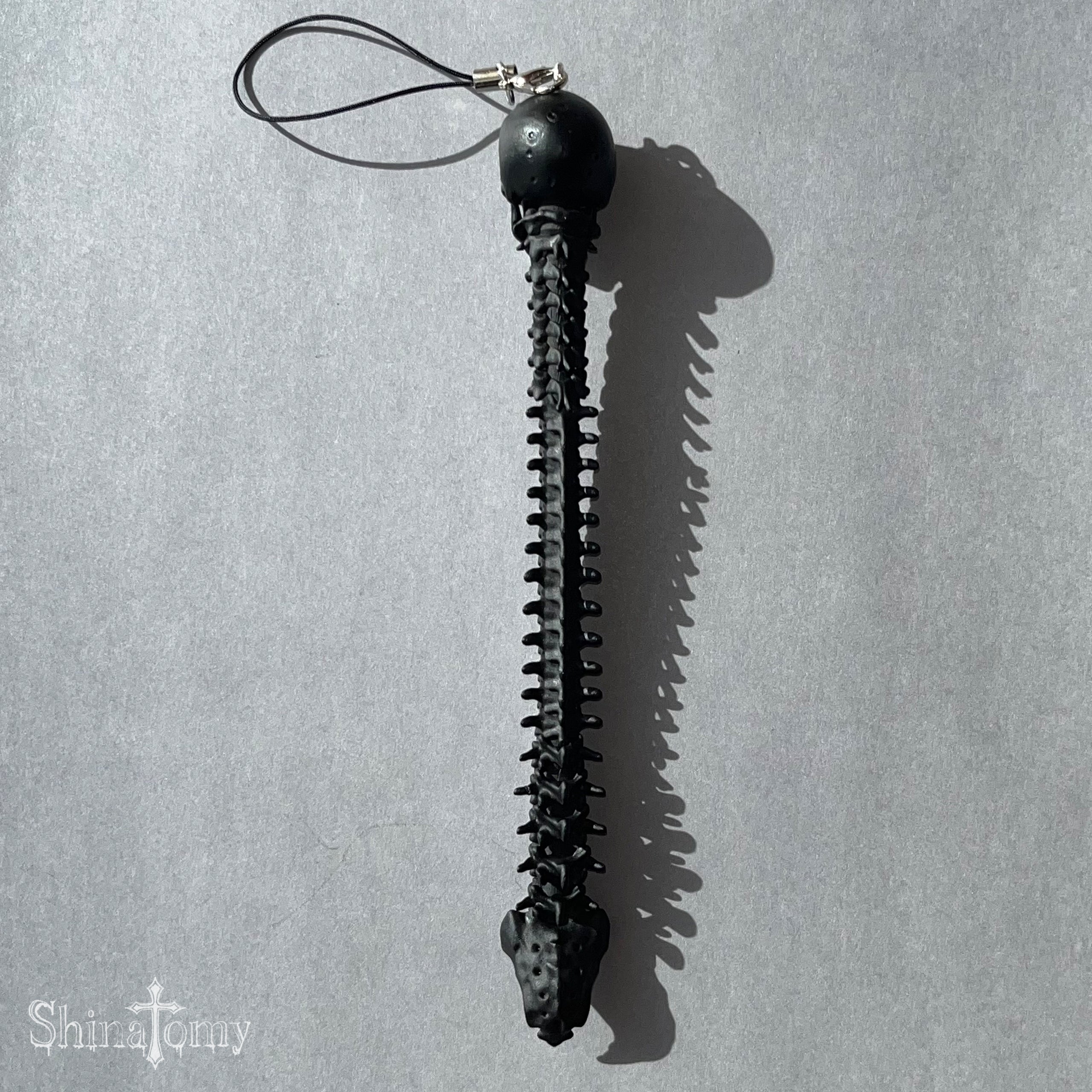 【ORGAMOコラボ】頭蓋骨キャップストラップ ＆ 脊椎ボールペン