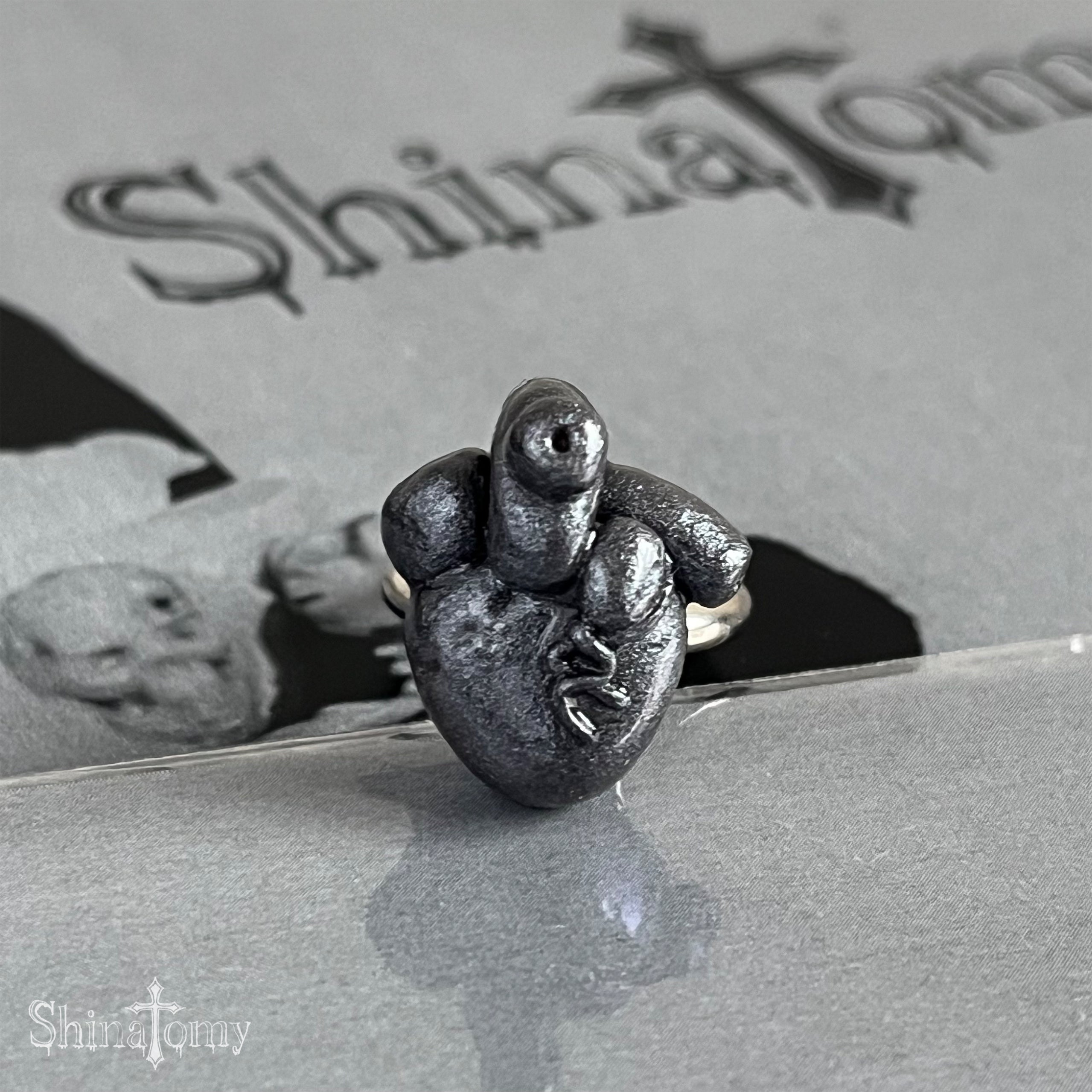 Shinatomy